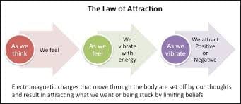 Its the law of the. Law of attraction. The Law of Vibration. The Law of synonymic attraction. The Law of attraction Roxie Cooper.