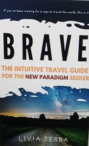 Brave Travelling experience